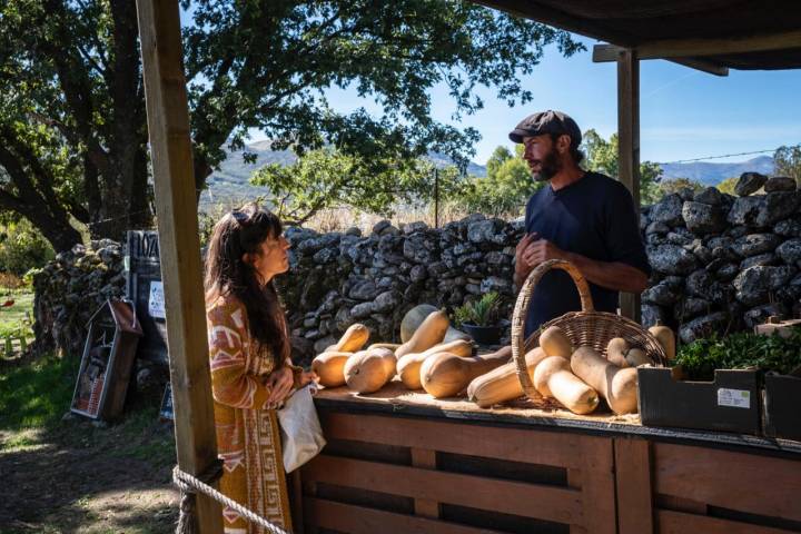 Puesto de calabazas en la finca Ecos del Lozoya (Madrid).