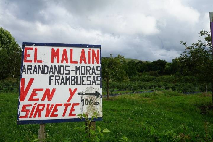"Ven y sírvete" es el lema de 'El Malaín'.