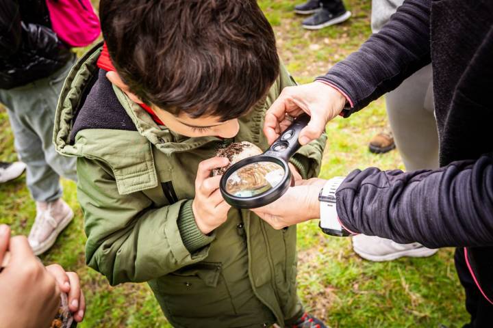 Pequeños detectives vislumbran los poros de parte de su botín.