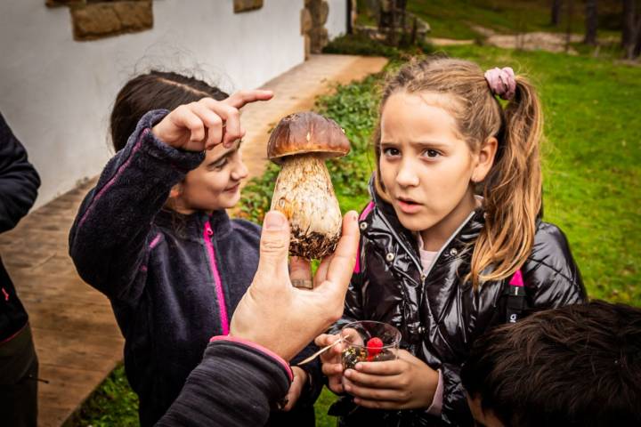 Con su postre en la mano, observan el boletus.