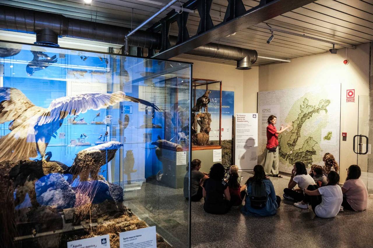 Yincana nocturna en el museo