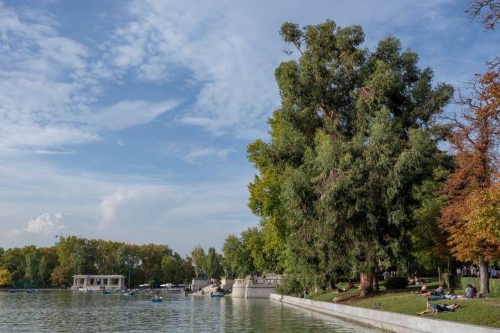 Descubriendo el Retiro en otoño (Madrid) | Guía Repsol