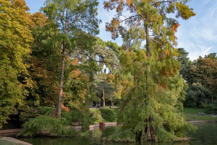 Descubriendo el Retiro en otoño (Madrid) | Guía Repsol