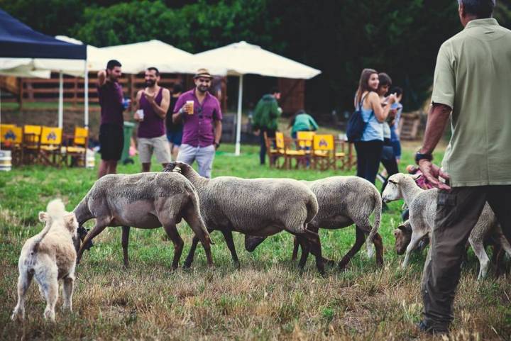Festival'Era en Llagostera, una cita musical en pleno medio rural. Foto: Facebook.