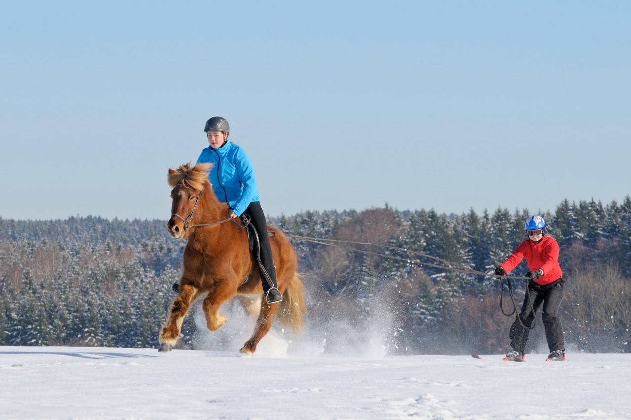 350 deportes que puedes practicar al aire libre skijoring