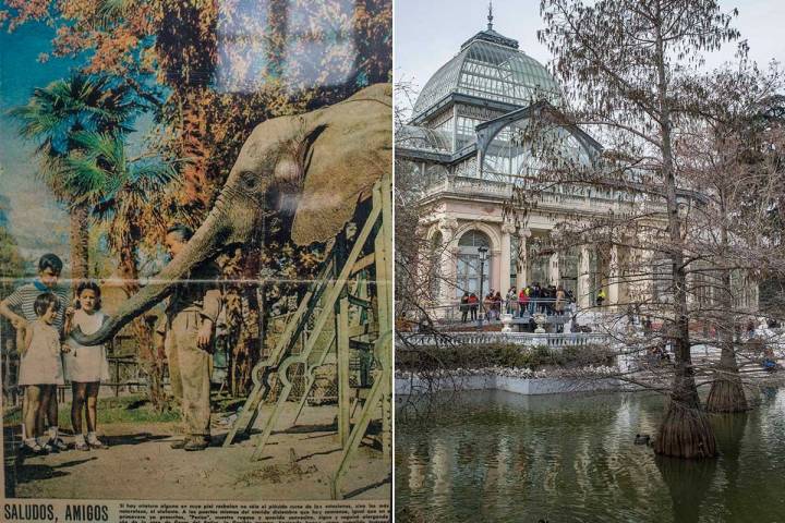 La elefanta Pizarro, el animal más famoso del parque; al lado, el Palacio de Cristal, compitiendo en fama.
