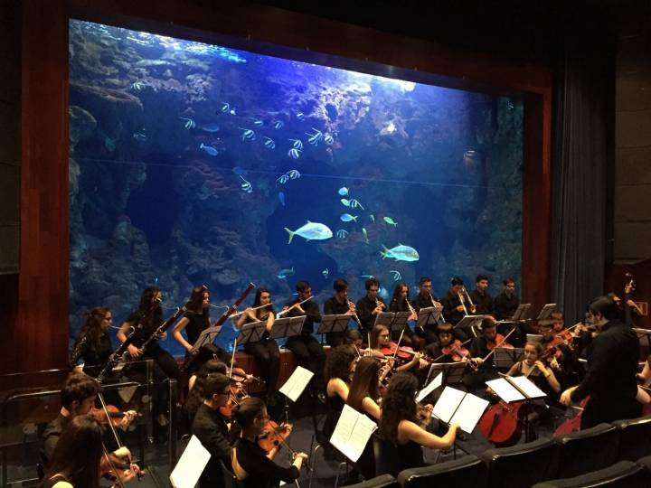 El Palacio del Mar también inunda los oidos al convertirse en escenario de conciertos