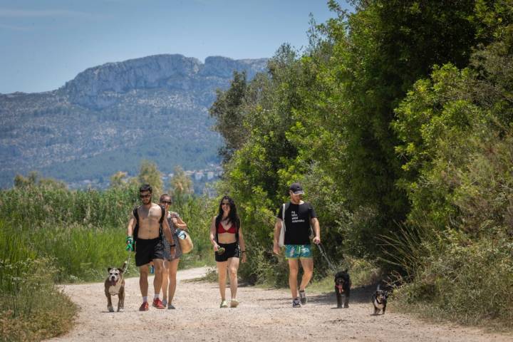 En el parque natural de La Marjal se pueden hacer diversas rutas de senderismo