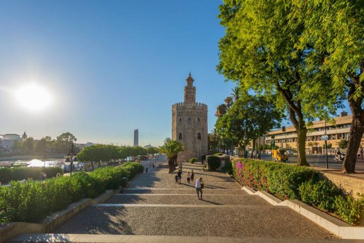 Views from difentes angles of the cathedral and the giralda.Tower erected during the era of Arab government in Spain on Roman ruins, later the Christians construlled the bell tower and the current cathedral.