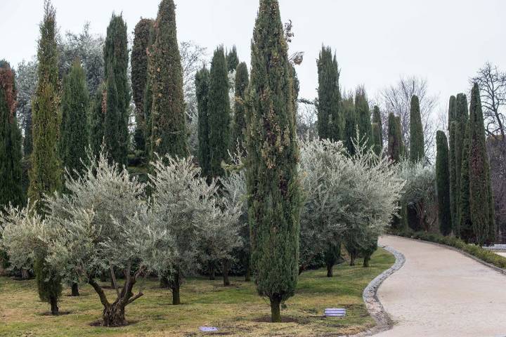 El Bosque del Recuerdo, uno de los últimos orgullos de los jardineros del parque madrileño.