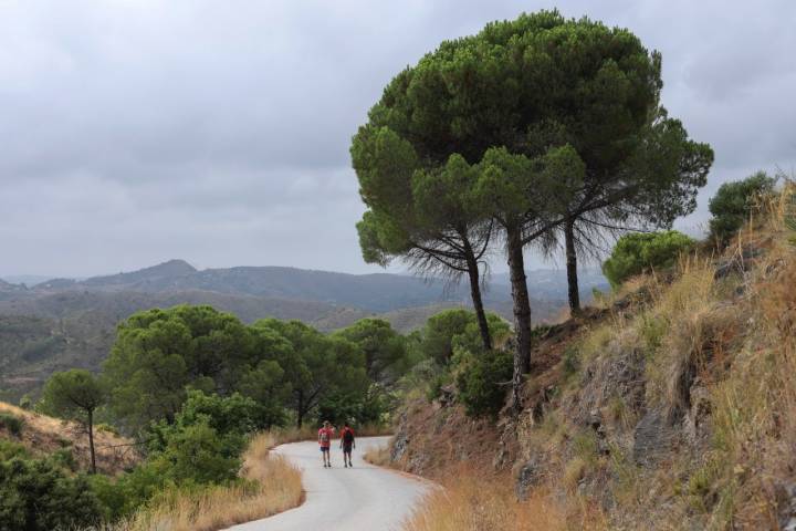 La ruta por Barranco Blanco, a unos 8 kilómetros de Alhaurín el Grande, 10 de Coín y unos 14 de Mijas.