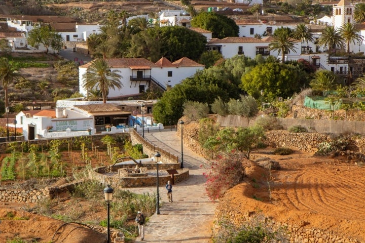 Ejemplo de gavias y sistemas de cultivo en bancal en la Cuesta de Antigua, etapa 5 del Camino Natural de Fuerteventura.