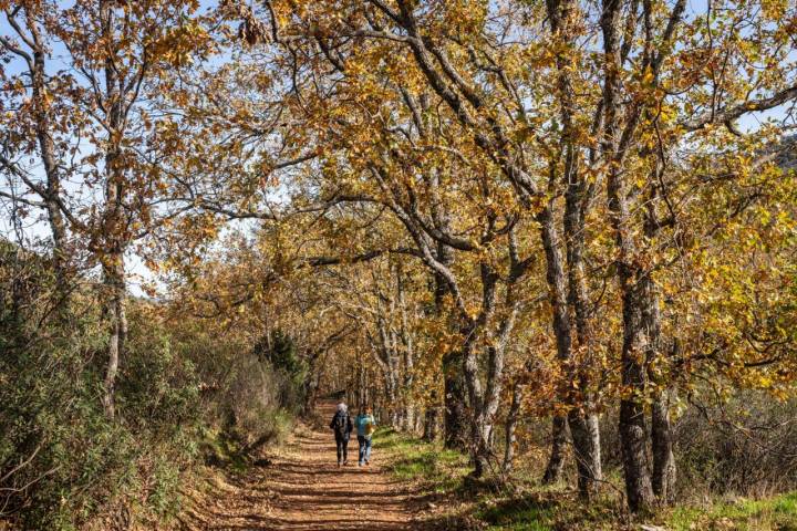 La ruta recorre 8 kilómetros en total.