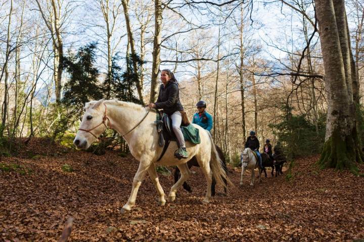 Varias personas pasean a caballo por el bosque del Betato