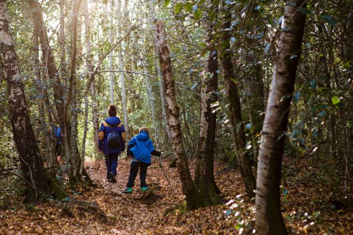 Niños paseando por el bosque de El Betato