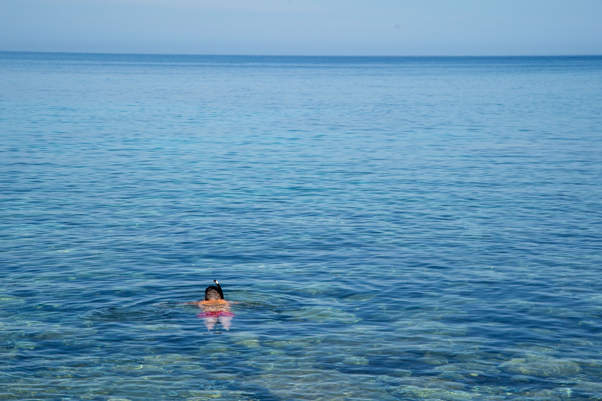 Uno de los lugares ideales para hacer buceo es la Cala Banyalbufar 