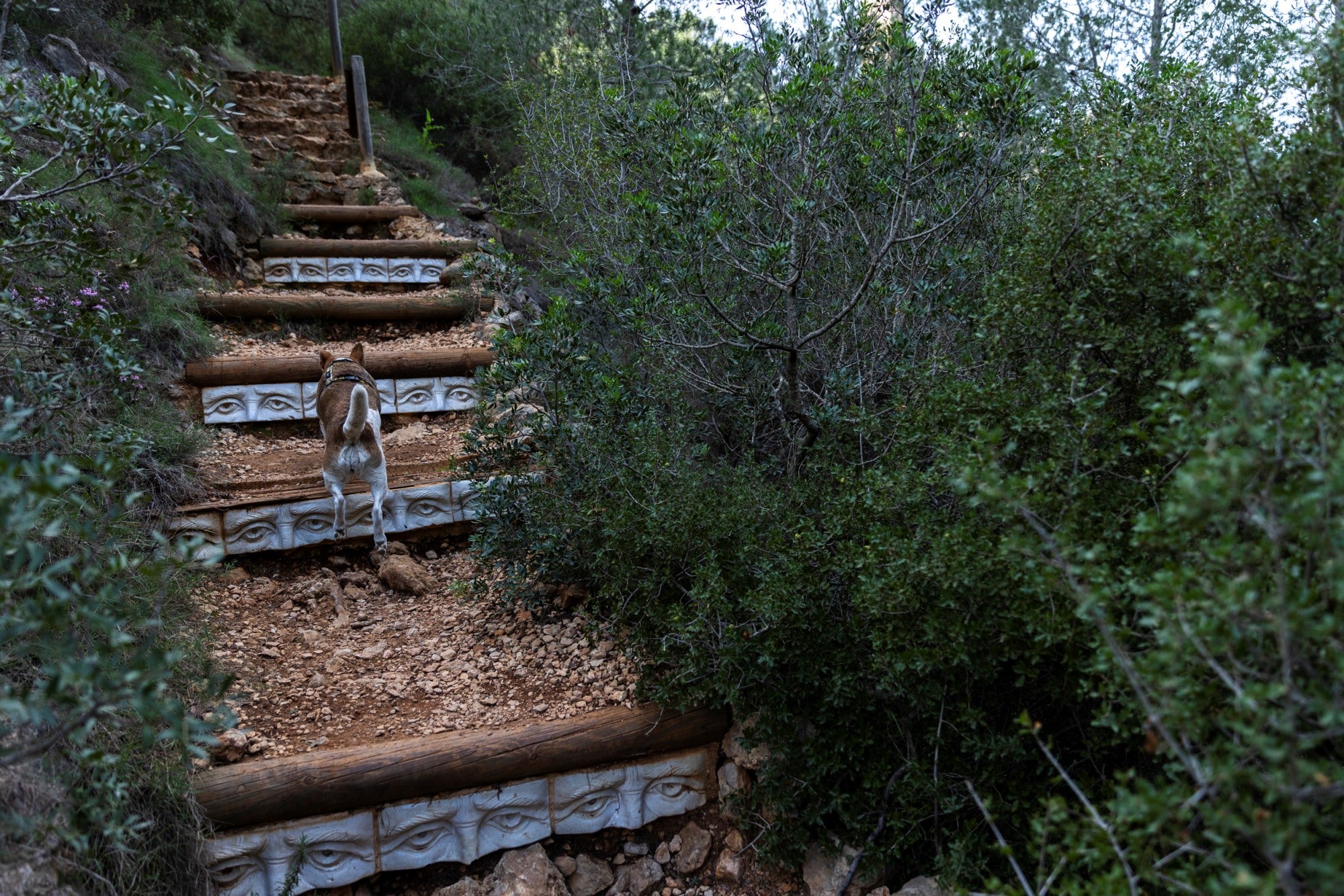 Los escalones de Miguel Cañada.