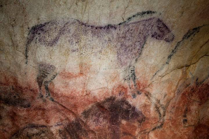 Una de las pinturas coloreadas con morado, un color poco frecuente en el Paleolítico. Foto: Centro de Arte Rupestre Tito Bustillo.