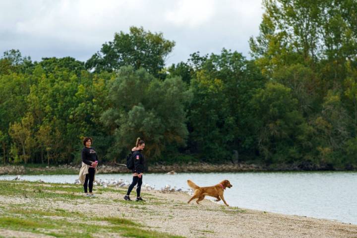 Dos mujeres junto a su perro en el Parque Provincial de Garaio.