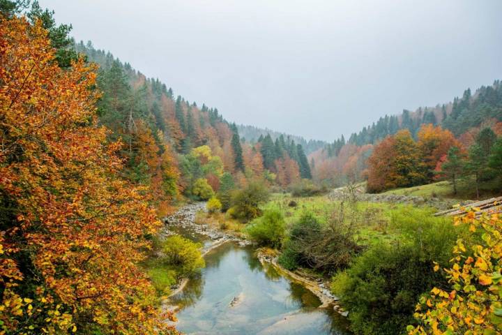 La Selva de Irati es uno de los bosques más cinematográficos de Navarra.