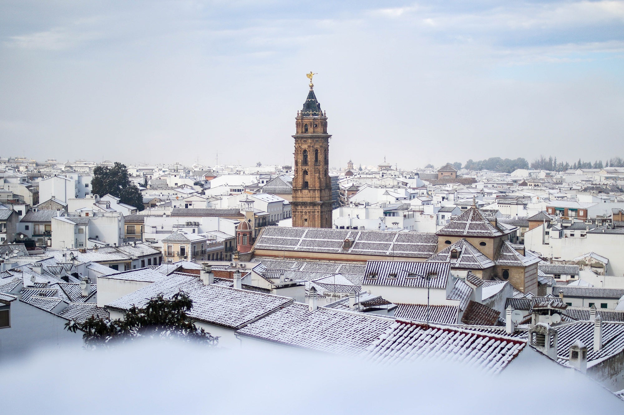 8 excusas para conocer la Málaga más invernal
