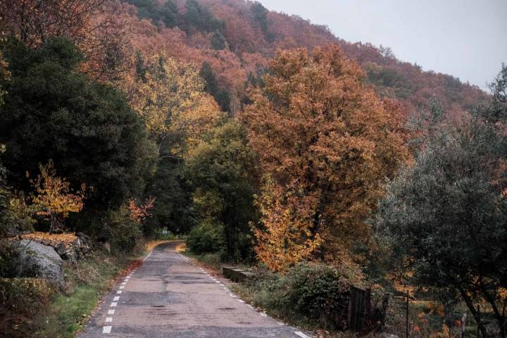 La carretera de Sequeros a Mogarraz muestra sus colores en todo su esplendor.