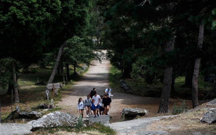 Grupo de adolescentes caminando por el monte