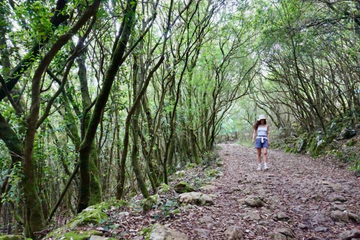 Una mujer camina por el bosque de Monte Buciero