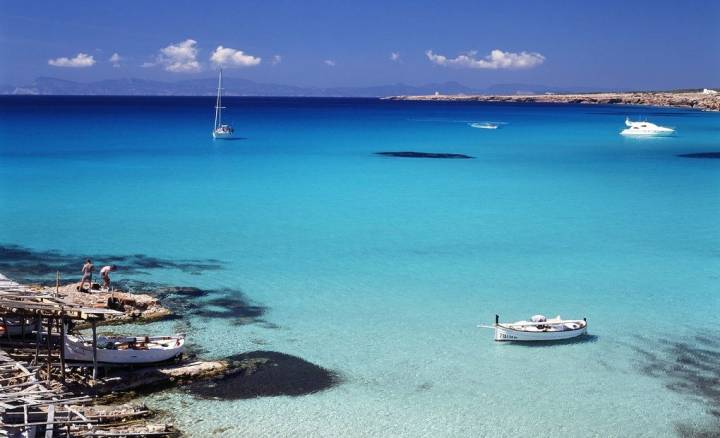 Formentera tiene la pradera oceánica más grande del Mediterráneo, declarada Patrimonio de la Humanidad