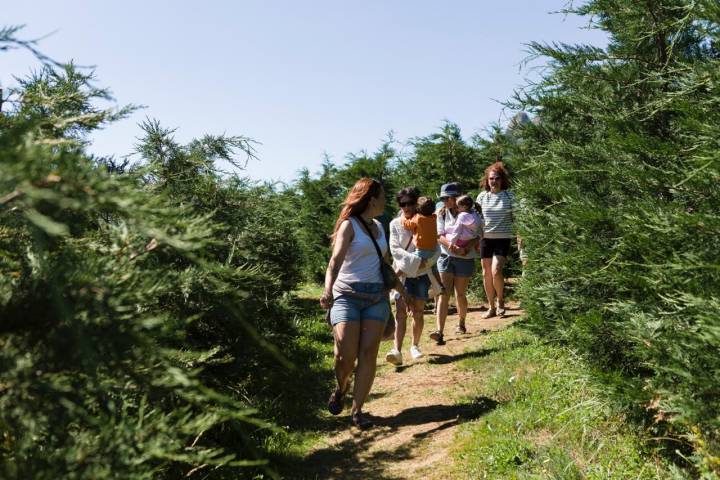 Una familia recorriendo el laberinto de los Pirineos (Piedrafita de Jaca)