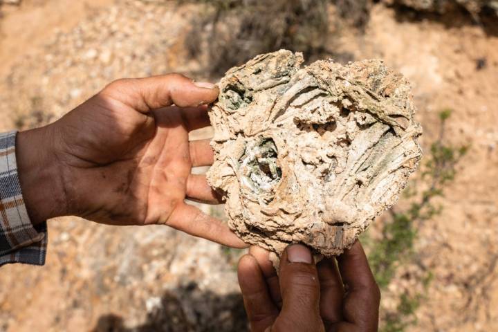Formación de los estramatolitos, petrificando vegetación