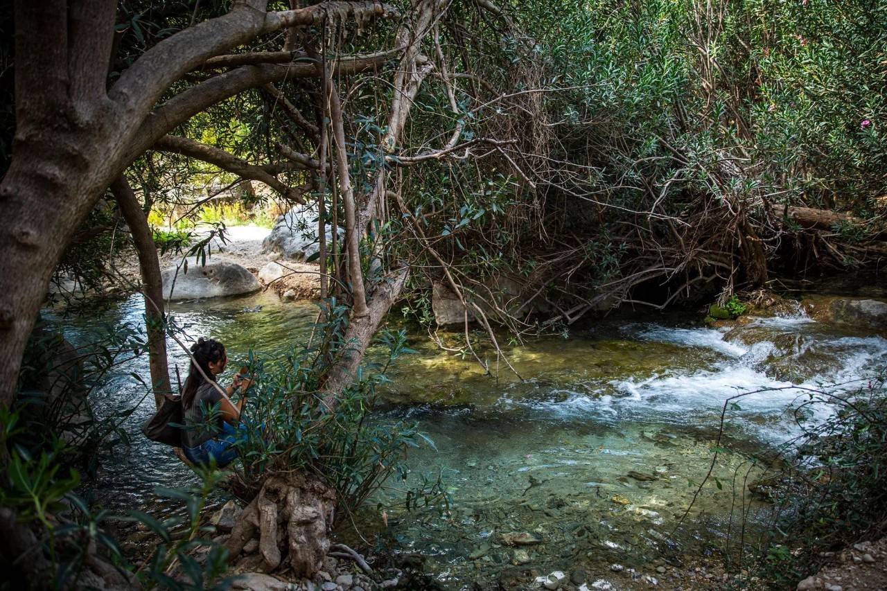 Excursiones fresquitas por sendas fluviales de España | Guía Repsol