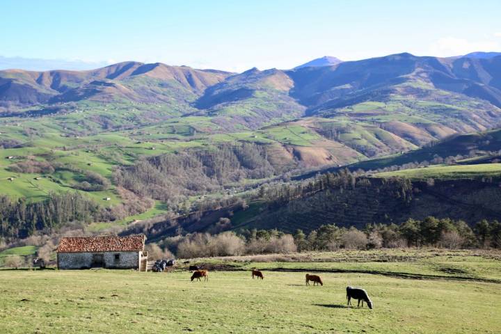 Vistas desde el Mirador de Braguía.