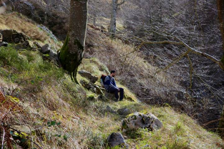 Un chico descansa en el bosque.