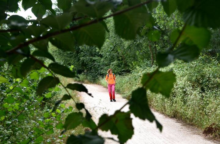 Es fácil durante la caminata cruzarse con conejos y algún zorro despistado.