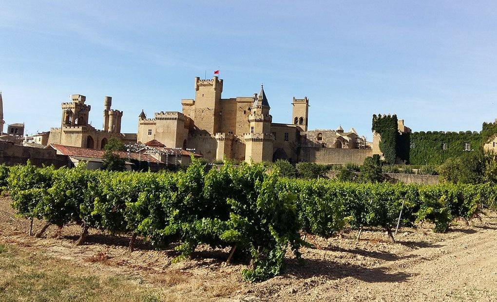 Panorámica del Palacio de Olite en tierra de viñedos.