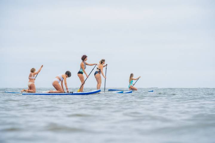 Paddle Surf Isla Canela grupo SUP en mar