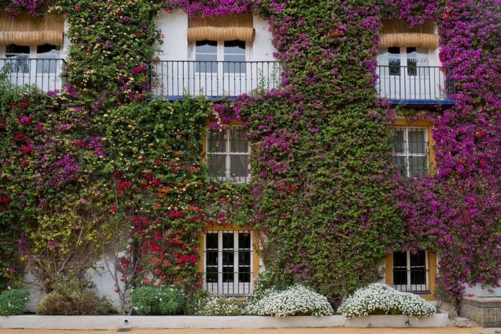 Los balcones del dormitorio de Eugenia de Montijo en Las Dueñas dan al patio de entrada al palacio.