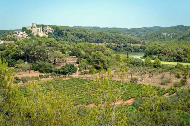 Pantano de Foix (Barcelona): Castellet i la Gornal