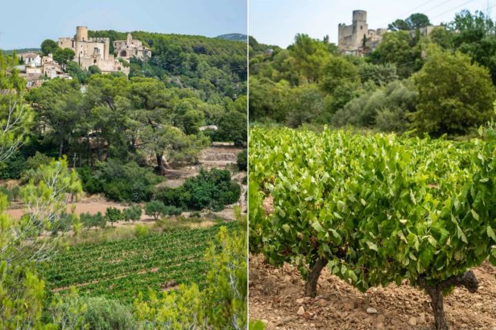 Pantano de Foix (Barcelona): viñedos y pantano rodean el pueblo