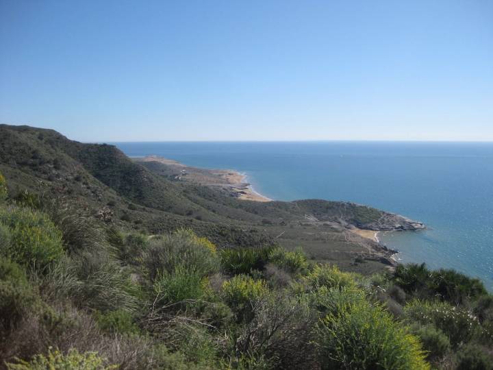 La vegetación del parque abraza las playas Parreño y Negrete.