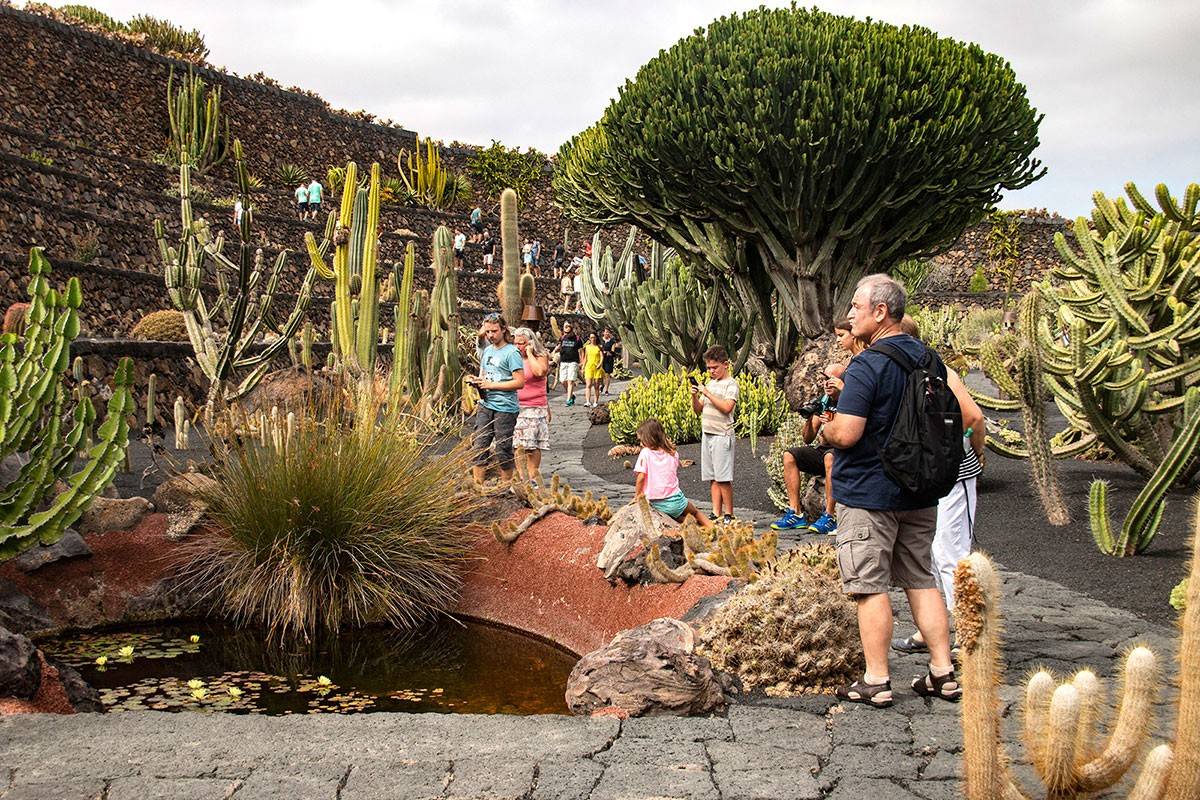 El Jardín de Cactus: supervivencia, arte y almuerzos extraterrestres