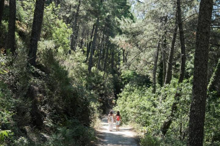 Dos personas caminan entre la naturaleza que conduce al río Arenal.