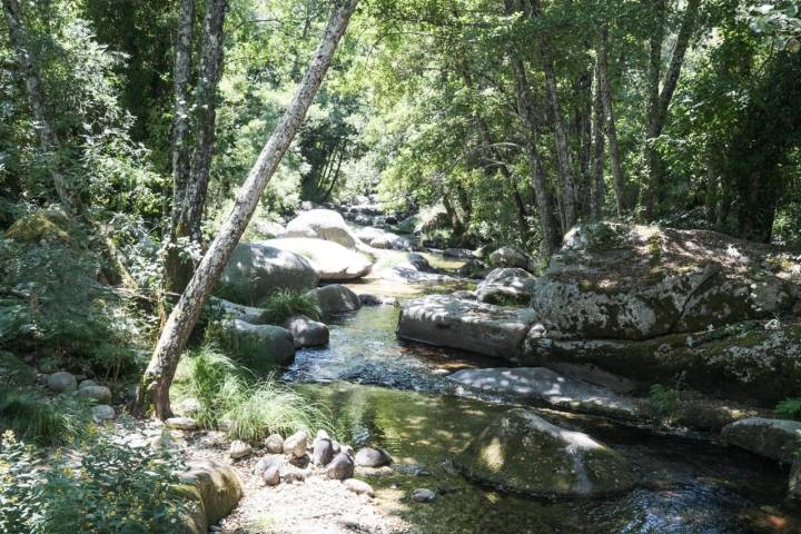 Corriente del río Arenal.