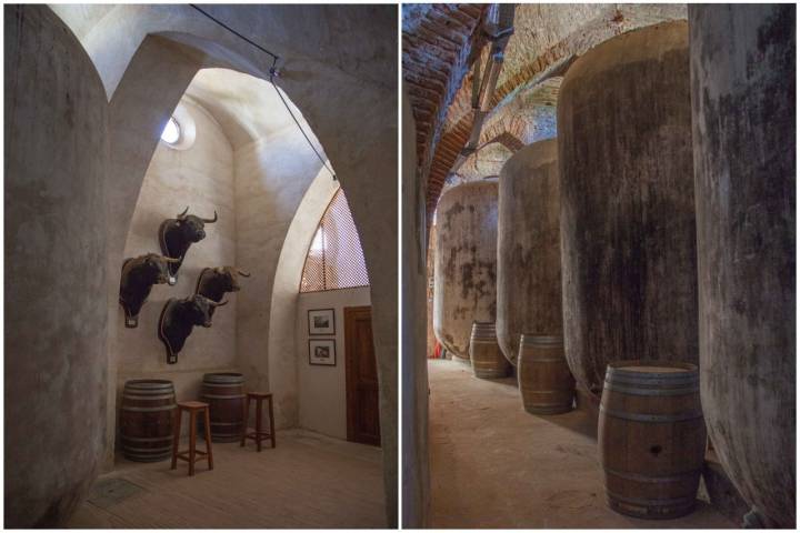 La plaza de toros alberga en su interior 29 conos con 750.000 litros de vino.