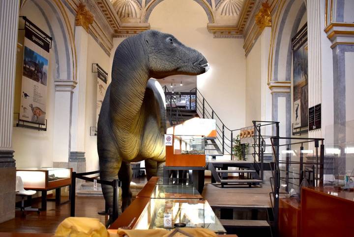 Morella. Museo Dinosaurios