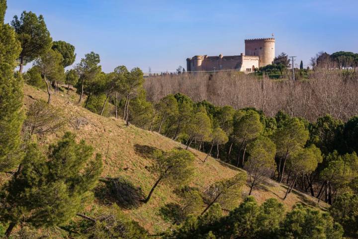 Vistas del castillo de Arévalo (Ávila).