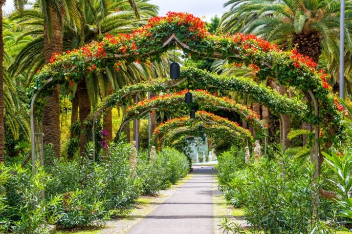 Arcos florales del Parque García Sanabria.