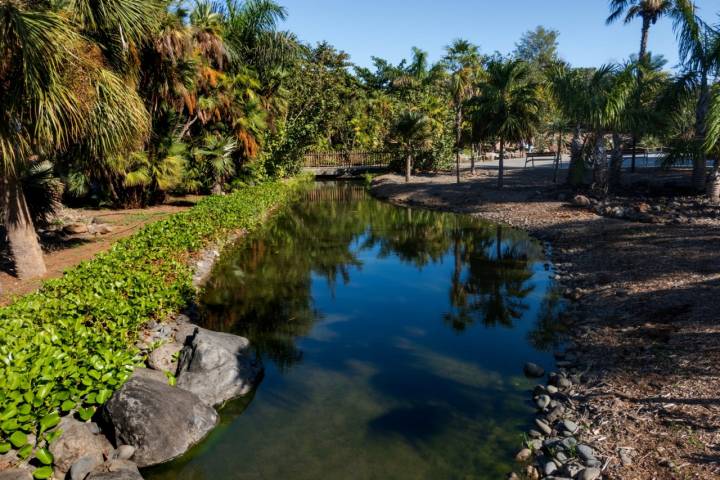 Río que pasa por el Palmetum.