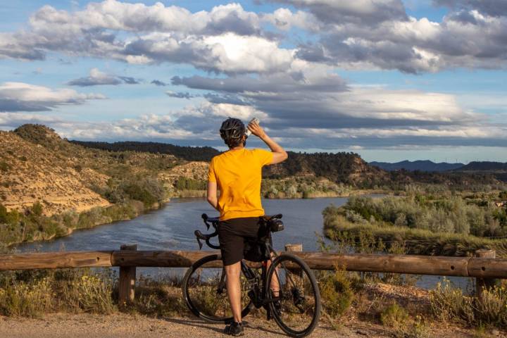 La ruta en bici por la Reserva Natural de Sebes es una de las mejores formas de conocer el paso del Ebro por Tarragona.